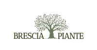 BRESCIA PIANTE LOGO
