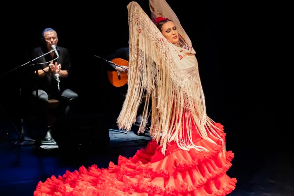 sesi-alegrias-sobre-el-flamenco-gala-2025–07