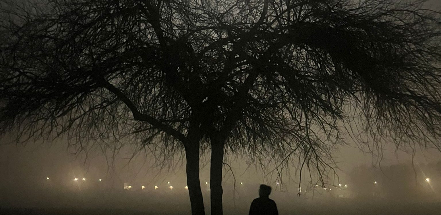 foto noir