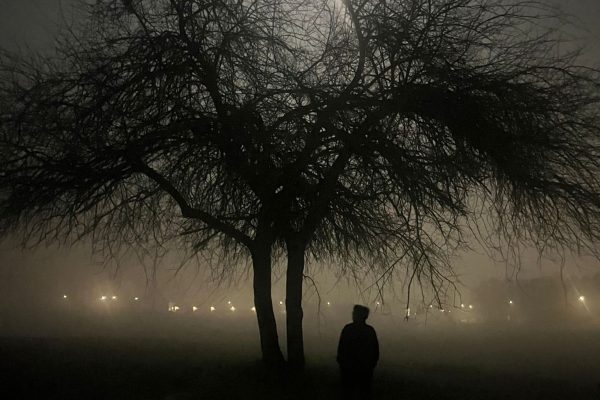 foto noir